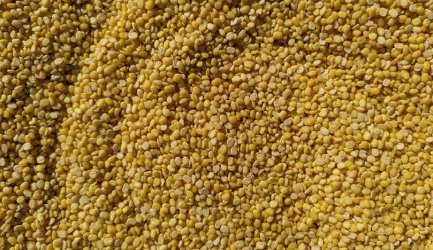 ICAR has developed India's first fully annotated Telomere-to-Telomere reference genome of the pigeonpea variety 'Asha'